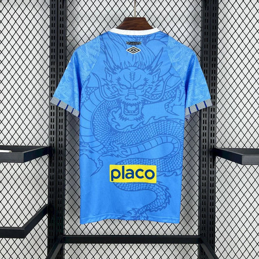 Camiseta Santos concepto 2025-26