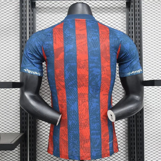 Camiseta foot FC Barcelona concepto 2024 2025