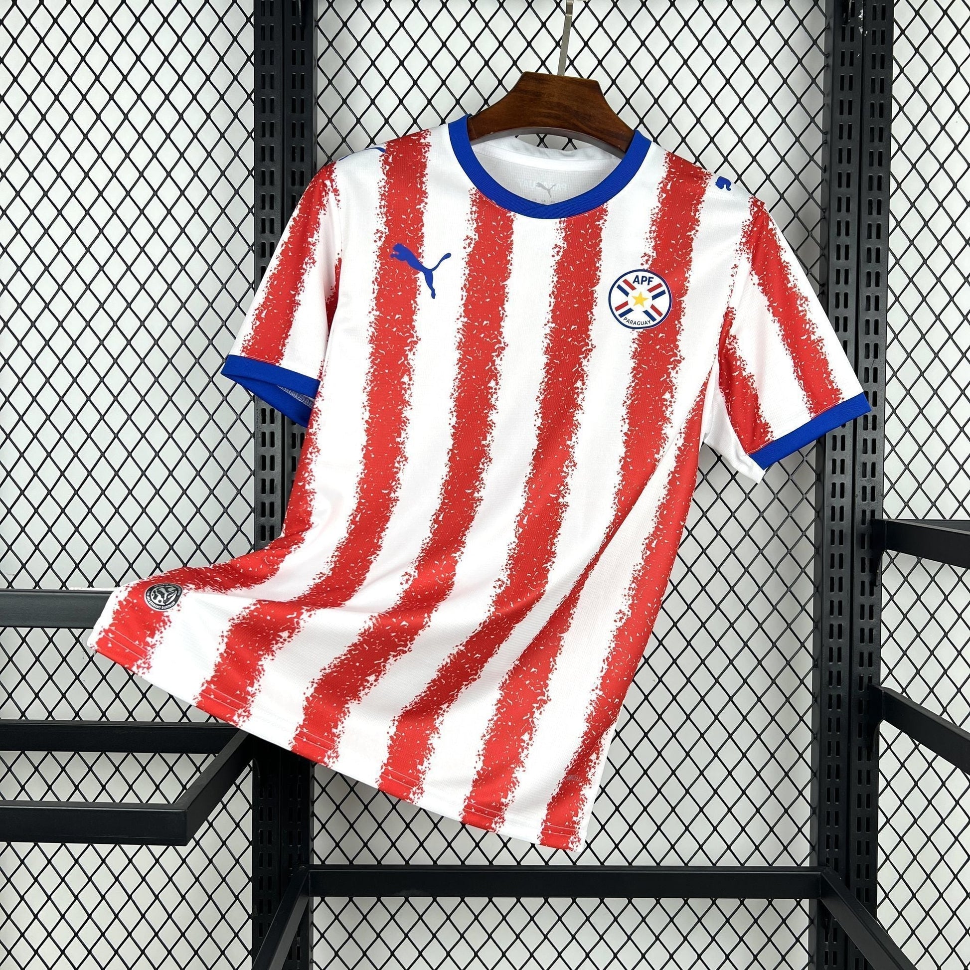 Camiseta Paraguay Copa Del Mundo 2026