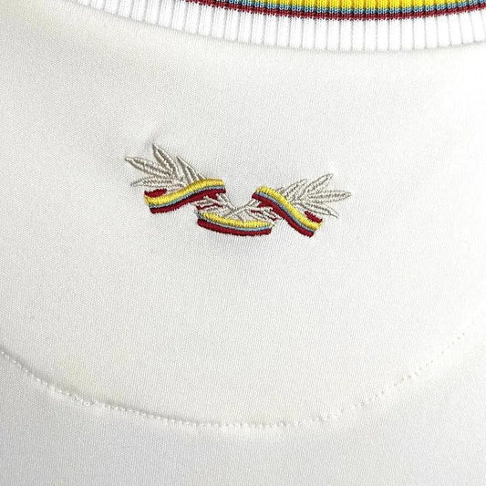 Camiseta Colombia foot 100ème aniversario 2024 2025